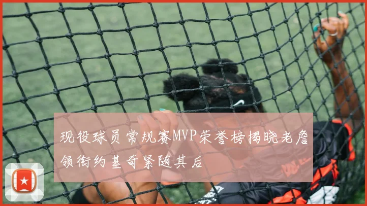 现役球员常规赛MVP荣誉榜揭晓老詹领衔约基奇紧随其后